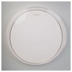 Светодиодный потолочный светильник Eurosvet 40008/1 LED белый