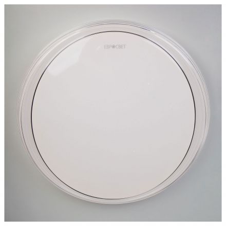 Светодиодный потолочный светильник Eurosvet 40008/1 LED белый