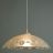 Светильник подвесной Arte Lamp A4020SP-1WH