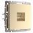 Розетка Ethernet RJ-45 Werkel W1181011 шампань (WL11-RJ-45)