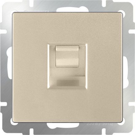 Розетка Ethernet RJ-45 Werkel W1181011 шампань (WL11-RJ-45)