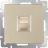 Розетка Ethernet RJ-45 Werkel W1181011 шампань (WL11-RJ-45)