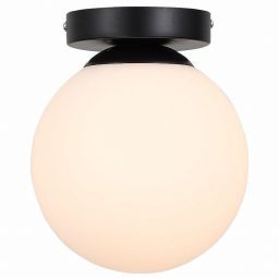 Светильник настенно-потолочный Evoluce SL717.401.01 ACINI (STLUCE SL717.401.01)