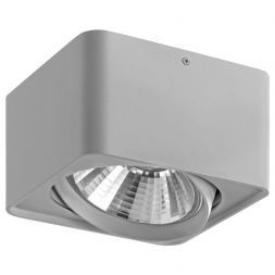 Потолочный светильник Lightstar 212619