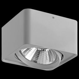 Потолочный светильник Lightstar 212619