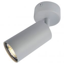 Светильник потолочный Arte Lamp A3216PL-1GY