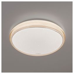 Светодиодный потолочный светильник Eurosvet 40008/1 LED кофе