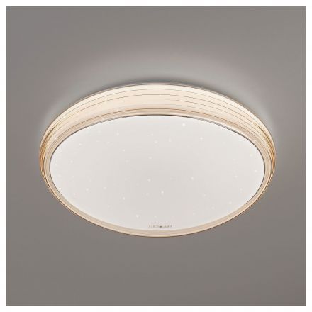 Светодиодный потолочный светильник Eurosvet 40008/1 LED кофе