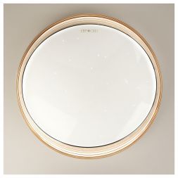 Светодиодный потолочный светильник Eurosvet 40008/1 LED кофе