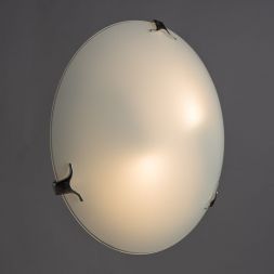 Настенно-потолочный светильник Arte Lamp A3720PL-2CC