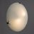 Настенно-потолочный светильник Arte Lamp A3720PL-2CC