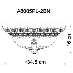Светильник потолочный Arte Lamp A8005PL-2BN