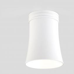 Накладной потолочный светильник Elektrostandard DLN100 GU10 WH белый