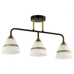 Потолочная люстра Lumion 5214/3CA