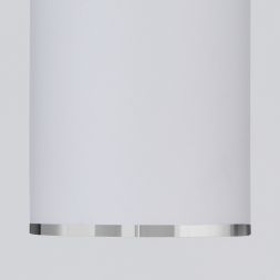 Накладной потолочный светильник Elektrostandard DLN101 GU10 WH белый