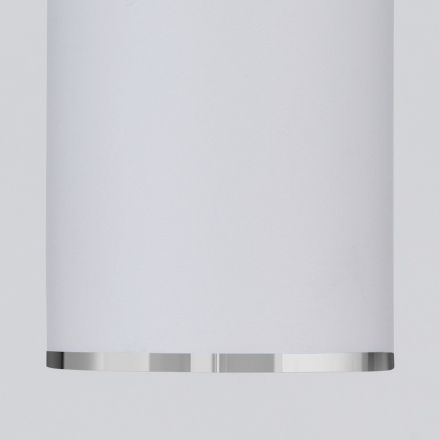 Накладной потолочный светильник Elektrostandard DLN101 GU10 WH белый