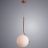 Подвесной светильник Arte Lamp A1922SP-1AB