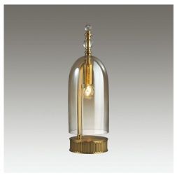 Настольная лампа Odeon Light 4892/1T