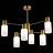 Потолочная люстра Evoluce SLE1139-302-06 Gessi