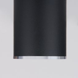 Накладной потолочный светильник Elektrostandard DLN101 GU10 BK черный