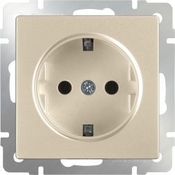 Розетка с заземлением и шторками Werkel W1171111 шампань (WL11-SKGS-01-IP44)