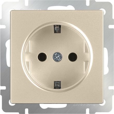Розетка с заземлением и шторками Werkel W1171111 шампань (WL11-SKGS-01-IP44)