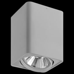 Потолочный светильник Lightstar 212639