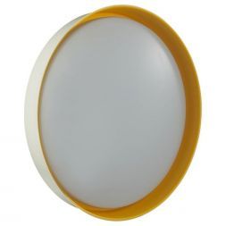 Настенно-потолочный светодиодный светильник Sonex Color Tuna Yellow 7711/DL