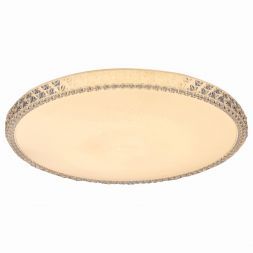 Светодиодный светильник с пультом Leek CLL Mistery 60W