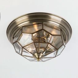 Светильник настенно-потолочный Citilux CL442530