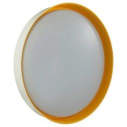 Настенно-потолочный светодиодный светильник Sonex Color Tuna Yellow 7711/EL