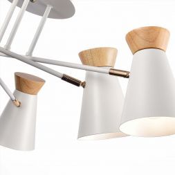 Потолочная люстра Evoluce SLE1252-502-06 Alfeo