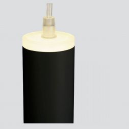 Накладной потолочный светильник Elektrostandard DLR035 12W 4200K черный матовый