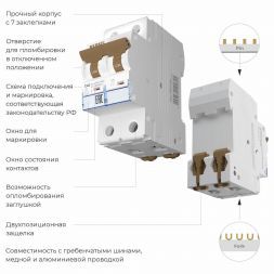 Автоматический выключатель 2P 40 A C 4,5 кА Werkel W902P404