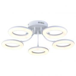 Потолочный светильник Arte Lamp A9358PL-5WH