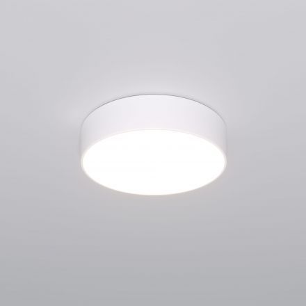 Потолочный светильник 90318/1 белый Eurosvet