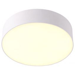 Потолочный светодиодный светильник Novotech Ornate 358107