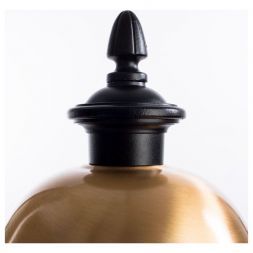 Светильник Arte Lamp A1484FN-1BK