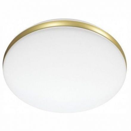 Настенно-потолочный светодиодный светильник Sonex 7626/AL Ringo