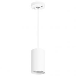 Светильник подвесной Lightstar Rullo RP436