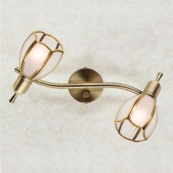 Спот Citilux CL522621