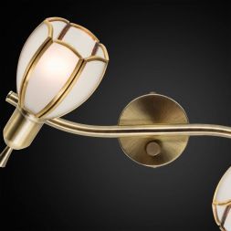 Спот Citilux CL522621