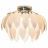 Потолочная люстра Lussole GRLSQ-1907-05