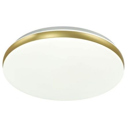 Настенно-потолочный светодиодный светильник Sonex 7626/DL Ringo