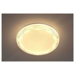 Светильник потолочный Escada 10263/S LED