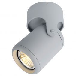 Светильник потолочный Arte Lamp A3316PL-1GY