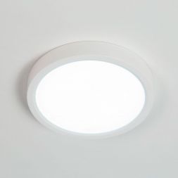 Потолочный светодиодный светильник Citilux CL738120N Бейсик