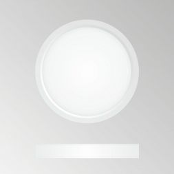 Потолочный светодиодный светильник Citilux CL738120N Бейсик