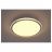 Светильник потолочный Escada 10270/S LED