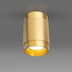 Накладной потолочный светильник Elektrostandard DLN109 GU10 золото